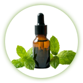 Piperita Herb Oil, ingrediente de origen vegetal