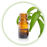 Capsaicin, ingrediente de origen vegetal con sensación de calor
